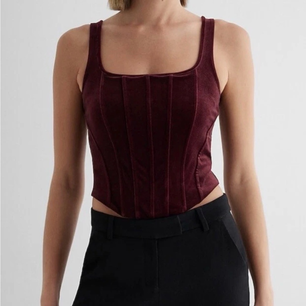 Express Burgundy Velvet Crop Top